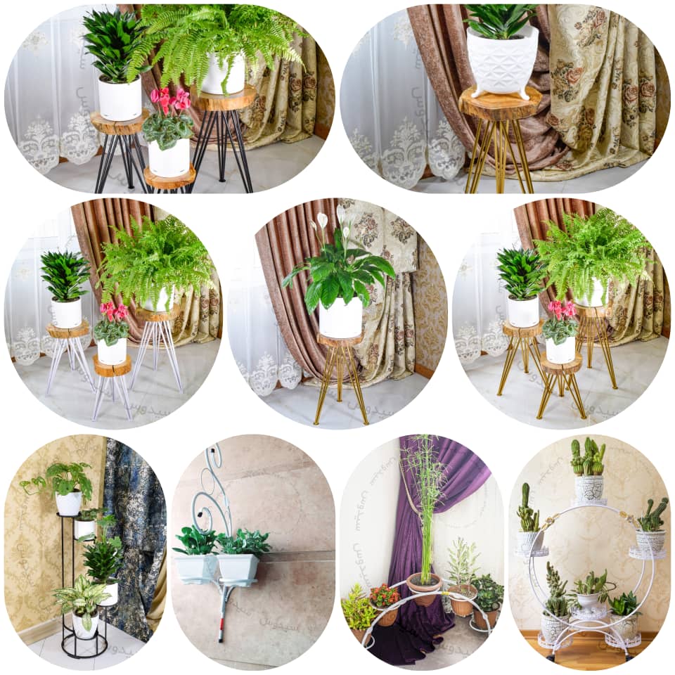 گلدان پلاستیکی سیدوسPlanting plants in plastic pots and gardens (suitable for 20 flowers) کاشت گیاه درگلدان پلاستیکی وباغچه (20گل مناسب )