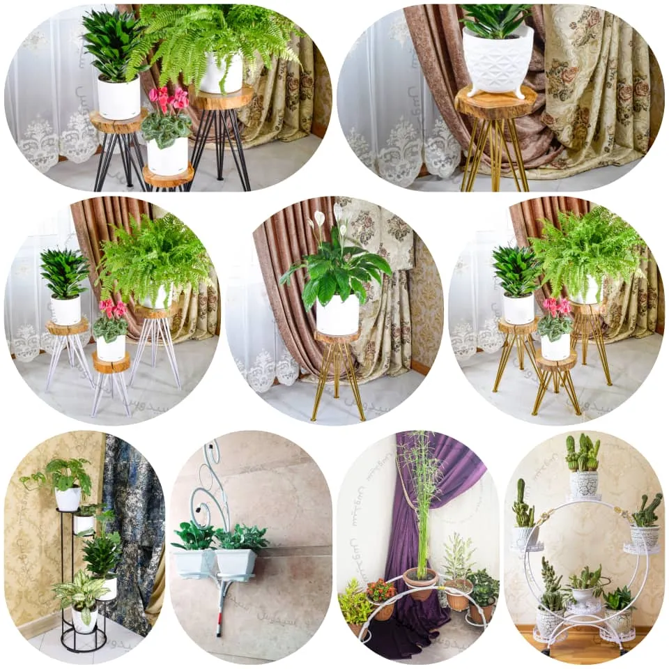 گلدان پلاستیکی سیدوسPlanting plants in plastic pots and gardens (suitable for 20 flowers) کاشت گیاه درگلدان پلاستیکی وباغچه (20گل مناسب )