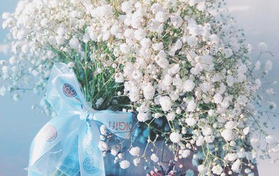 Gypsophila flower,گل ژیپسوفیلا,گل عروس