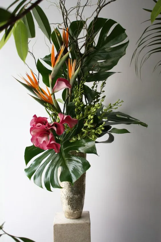 گل پرنده بهشتی یا استرلیتزیا (Strelitzia Reginae)مجموعه تولیدی سیدوس ,تولید کننده گلدان پلاستیکی سیدوس 