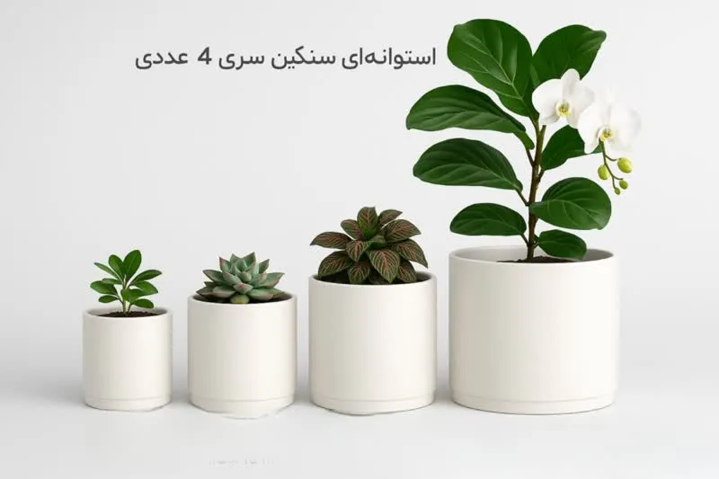 گلدان پلاستیکی استوانه ای سیدوسCylindrical plastic pot Sidoos
مجموعه تولیدی سیدوس ,تولید کننده گلدان پلاستیکی سیدوس ,بیش از 120نوع, اعم از گلدان استوانه ای پلاستیکی سیدوس,گلدان الماسی پلاستیکی سیدوس,گلدان مربعی پلاستیکی,گلدان مثلثی پلاستیکی,گلدان گرد پلاستیکی ,باکس مستطیلی,در اندازه های کاکتوسی تا درختچه ای