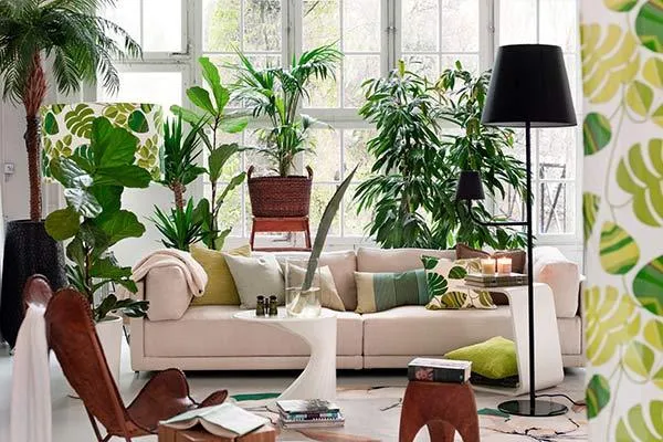 گیاهان جاذب عشق در فنگ شویی(10گل) درَمجموعه تولیدی گلدان پلاستیکی سیدوسLove-attracting plants in Feng Shui (10 flowers) in Sidoos plastic vase production collection
