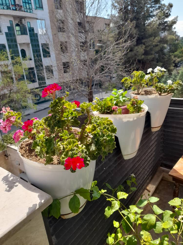 Plastic potگلدان پلاستیکی