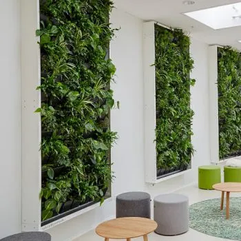 باغ کوچک خود را به راهرو محل زندگیتان ببرید.Bring your small garden into your hallway. مجموعه تولیدی سیدوس ,تولید کننده گلدان پلاستیکی سیدوس ,بیش از 120نوع, اعم از گلدان استوانه ای پلاستیکی سیدوس,گلدان الماسی پلاستیکی سیدوس,گلدان مربعی پلاستیکی,گلدان مثلثی پلاستیکی,گلدان گرد پلاستیکی ,باکس مستطیلی,در اندازه های کاکتوسی تا درختچه ای