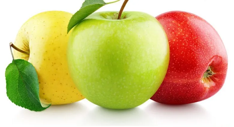 سیب وخواص چشمگیر آن برای سلامتیApple and its impressive health properties
مجموعه تولیدی سیدوس ,تولید کننده گلدان پلاستیکی سیدوس ,بیش از 120نوع, اعم از گلدان استوانه ای پلاستیکی سیدوس,گلدان الماسی پلاستیکی سیدوس,گلدان مربعی پلاستیکی,گلدان مثلثی پلاستیکی,گلدان گرد پلاستیکی ,باکس مستطیلی,در اندازه های کاکتوسی تا درختچه ای