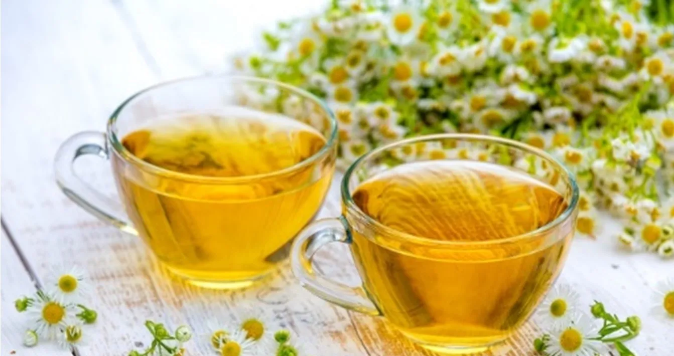 گل بابونهنام انگلیسی	Matricaria chamomilla
نام علمی	Chamaemelum nobile
مجموعه تولیدی سیدوس ,تولید کننده گلدان پلاستیکی سیدوس