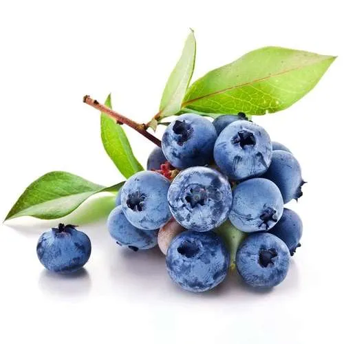 مواد غذایی سرشار از آنتی اکسیدانFoods rich in antioxidants
مجموعه تولیدی سیدوس ,تولید کننده گلدان پلاستیکی سیدوس ,بیش از 120نوع, اعم از گلدان استوانه ای پلاستیکی سیدوس,گلدان الماسی پلاستیکی سیدوس,گلدان مربعی پلاستیکی,گلدان مثلثی پلاستیکی,گلدان گرد پلاستیکی ,باکس مستطیلی,در اندازه های کاکتوسی تا درختچه ای