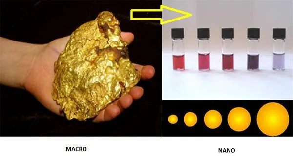 مواد نانو چیست؟ وچه خصوصیاتی دارد؟What are nanomaterials? What are its characteristics? مجموعه تولیدی سیدوس ,تولید کننده گلدان پلاستیکی سیدوس ,بیش از 120نوع, اعم از گلدان استوانه ای پلاستیکی سیدوس,گلدان الماسی پلاستیکی سیدوس,گلدان مربعی پلاستیکی,گلدان مثلثی پلاستیکی,گلدان گرد پلاستیکی ,باکس مستطیلی,در اندازه های کاکتوسی تا درختچه ای