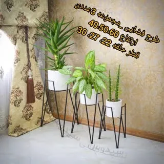 مبارزه با آفات و بیماری‌های گیاهان آپارتمانیFighting pests and diseases of houseplants
گلدان پلاستیکی  Plastic pot,  plastic vase مجموعه تولیدی سیدوس ,تولید کننده گلدان پلاستیکی سیدوس ,بیش از 120نوع, اعم از گلدان استوانه ای پلاستیکی سیدوس,گلدان الماسی پلاستیکی سیدوس,گلدان مربعی پلاستیکی,گلدان مثلثی پلاستیکی,گلدان گرد پلاستیکی ,باکس مستطیلی,در اندازه های کاکتوسی تا درختچه ای