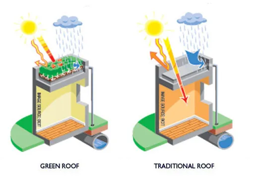 بام سبز (green roof ) و باغ بام (roof garden) Roof garden or green roof مجموعه تولیدی سیدوس ,تولید کننده گلدان پلاستیکی سیدوس ,بیش از 120نوع, اعم از گلدان استوانه ای پلاستیکی سیدوس,گلدان الماسی پلاستیکی سیدوس,گلدان مربعی پلاستیکی,گلدان مثلثی پلاستیکی,گلدان گرد پلاستیکی ,باکس مستطیلی,در اندازه های کاکتوسی تا درختچه ای