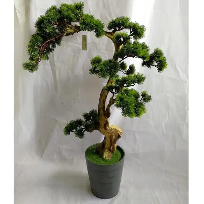 گلدان پلاستیکی گل بونسای وخواص شگفت انگیزآنPlastic bonsai flower pots and their amazing properties مجموعه تولیدی سیدوس ,تولید کننده گلدان پلاستیکی سیدوس ,بیش از 120نوع, اعم از گلدان استوانه ای پلاستیکی سیدوس,گلدان الماسی پلاستیکی سیدوس,گلدان مربعی پلاستیکی,گلدان مثلثی پلاستیکی,گلدان گرد پلاستیکی ,باکس مستطیلی,در اندازه های کاکتوسی تا درختچه ای