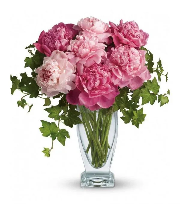 گل صد توماني در مجموعه تولیدی گلدان پلاستیکی سیدوسPeony flower in Sidoos plastic vase collection