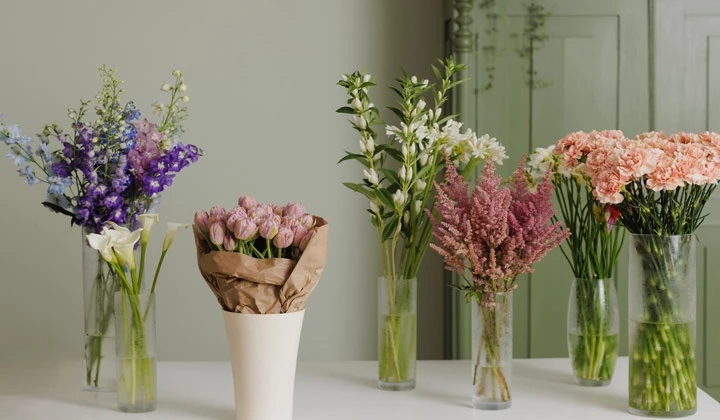  زبان گل ها و تاریخچه‌ی آن هاThe language of
 flowers and their history
مجموعه تولیدی سیدوس تولید کننده گلدان های پلاستیکی سیدوس