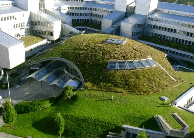 باغ بام یا گرین روف Roof garden or green roof
 مجموعه تولیدی سیدوس ,تولید کننده گلدان پلاستیکی سیدوس ,بیش از 120نوع, اعم از گلدان استوانه ای پلاستیکی سیدوس,گلدان الماسی پلاستیکی سیدوس,گلدان مربعی پلاستیکی,گلدان مثلثی پلاستیکی,گلدان گرد پلاستیکی ,باکس مستطیلی,در اندازه های کاکتوسی تا درختچه ای
