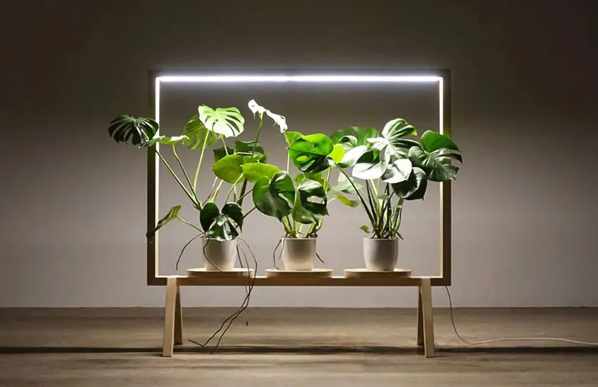 نور مصنوعی برای گیاه آپارتمانیArtificial light for houseplants
مجموعه تولیدی سیدوس ,تولید کننده گلدان پلاستیکی سیدوس ,بیش از 120نوع, اعم از گلدان استوانه ای پلاستیکی سیدوس,گلدان الماسی پلاستیکی سیدوس,گلدان مربعی پلاستیکی,گلدان مثلثی پلاستیکی,گلدان گرد پلاستیکی ,باکس مستطیلی,در اندازه های کاکتوسی تا درختچه ای