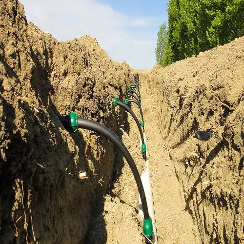 آبیاری زیر سطحی subsurface-irrigation-benefitsمجموعه تولیدی سیدوس ,تولید کننده محصولات بهداشتی ساختمانی سیدوس ,بیش از 112نوع
اعم از مکانیسم توالت فرنگی,سیفون تک لگن,سیفون دو لگن,سیفون فانتزی,سیفون نیمه فانتزی,انواع سردوش, انواع کفشور,انواع چاه بست,انواع زیرآب,قطعات سیفون,ققطعات کفشور,قطعات سیفون کلاسیک, قطعاتت سیفون فانتزی,انواع واشر,سیفون وان و زیر دوشی,انواع لوله کششی
شیلنگ آب آبگون,شیلنگ آب نیلگون,شیلنگ آب ژله ای آبران