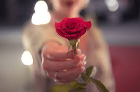 The psychology of flowersروانشناسی گل ها