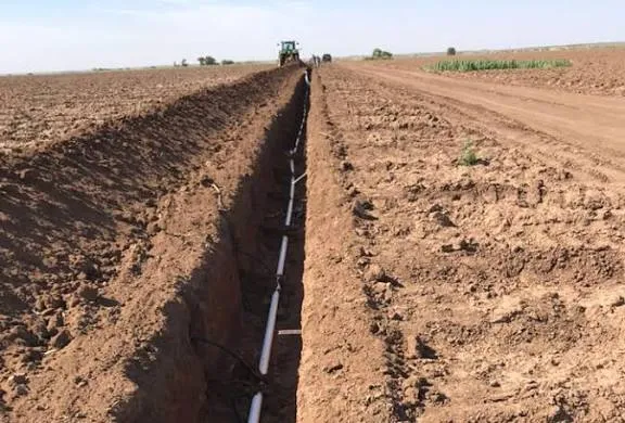 سیستم آبیاری زیر سطحیSubsurface irrigation system مجموعه تولیدی سیدوس ,تولید کننده محصولات بهداشتی ساختمانی سیدوس ,بیش از 112نوعاعم از مکانیسم توالت فرنگی,سیفون تک لگن,سیفون دو لگن,سیفون فانتزی,سیفون نیمه فانتزی,انواع سردوش, انواع کفشور,انواع چاه بست,انواع زیرآب,قطعات سیفون,ققطعات کفشور,قطعات سیفون کلاسیک, قطعاتت سیفون فانتزی,انواع واشر,سیفون وان و زیر دوشی,انواع لوله کششی شیلنگ آب آبگون,شیلنگ آب نیلگون,شیلنگ آب ژله ای آبران