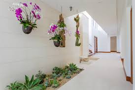 ارکیده‌های موقتی فضای باز