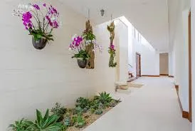 ارکیده‌های موقتی فضای باز