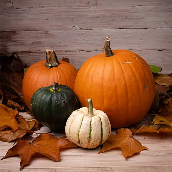 کدو حلوایی وفوائد آن برای سلامتیPumpkin and its health benefits
مجموعه تولیدی سیدوس ,تولید کننده گلدان پلاستیکی سیدوس ,بیش از 120نوع, اعم از گلدان استوانه ای پلاستیکی سیدوس,گلدان الماسی پلاستیکی سیدوس,گلدان مربعی پلاستیکی,گلدان مثلثی پلاستیکی,گلدان گرد پلاستیکی ,باکس مستطیلی,در اندازه های کاکتوسی تا درختچه ای