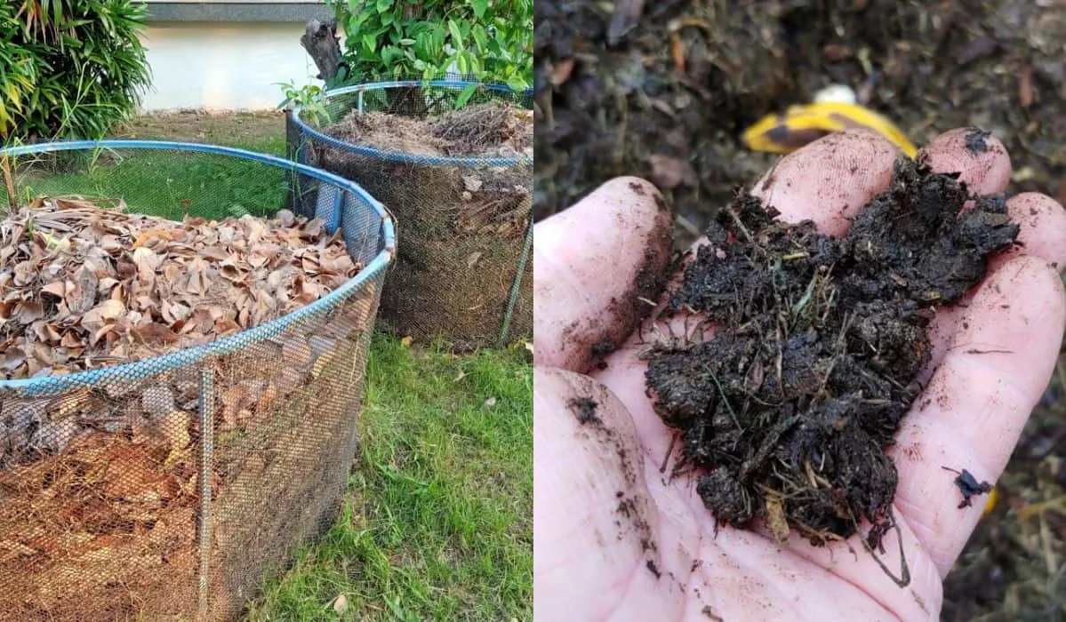 خاک برگleaf soil