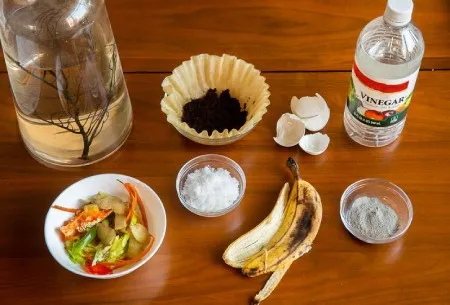 احیای گیاهان آپارتمانی پژمرده با کود خانگیRevive wilted houseplants with homemade fertilizer
مجموعه تولیدی سیدوس ,تولید کننده گلدان پلاستیکی سیدوس ,بیش از 120نوع, اعم از گلدان استوانه ای پلاستیکی سیدوس,گلدان الماسی پلاستیکی سیدوس,گلدان مربعی پلاستیکی,گلدان مثلثی پلاستیکی,گلدان گرد پلاستیکی ,باکس مستطیلی,در اندازه های کاکتوسی تا درختچه ای