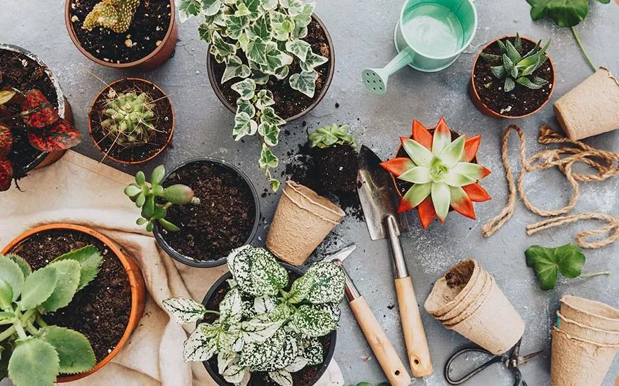 بهترین خاک برای گلدان The best soil for pots مجموعه تولیدی سیدوس ,تولید کننده گلدان پلاستیکی سیدوس ,بیش از 120نوع, اعم از گلدان استوانه ای پلاستیکی سیدوس,گلدان الماسی پلاستیکی سیدوس,گلدان مربعی پلاستیکی,گلدان مثلثی پلاستیکی,گلدان گرد پلاستیکی ,باکس مستطیلی,در اندازه های کاکتوسی تا درختچه ای