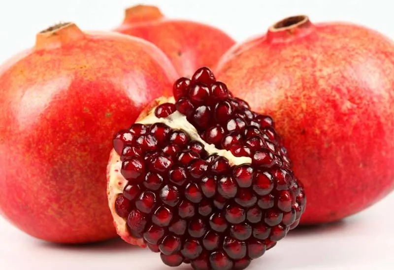 درخت انار ومزایای نگهداری آن در خانهPomegranate tree and the benefits of keeping it at home مجموعه تولیدی سیدوس ,تولید کننده گلدان پلاستیکی سیدوس ,بیش از 120نوع, اعم از گلدان استوانه ای پلاستیکی سیدوس,گلدان الماسی پلاستیکی سیدوس,گلدان مربعی پلاستیکی,گلدان مثلثی پلاستیکی,گلدان گرد پلاستیکی ,باکس مستطیلی,در اندازه های کاکتوسی تا درختچه ای