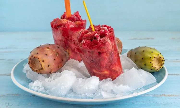 کاکتوس و میوه آن وموثرترین خواص آن برای سلامتی ولاغری Cactus and its fruit and its most effective properties for health and weight loss مجموعه تولیدی سیدوس ,تولید کننده گلدان پلاستیکی سیدوس