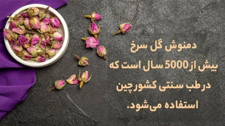 چای گلسرخ و 13خاصیت دمنوش آن Rosehip tea and its 13 properties مجموعه تولیدی سیدوس ,تولید کننده گلدان پلاستیکی سیدوس
