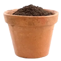 گیاه گوش بره زرد Phlomis aucheriمجموعه تولیدی سیدوس ,تولید کننده گلدان پلاستیکی سیدوس ,بیش از 120نوع, اعم از گلدان استوانه ای پلاستیکی سیدوس,گلدان الماسی پلاستیکی سیدوس,گلدان مربعی پلاستیکی,گلدان مثلثی پلاستیکی,گلدان گرد پلاستیکی ,باکس مستطیلی,در اندازه های کاکتوسی تا درختچه ای