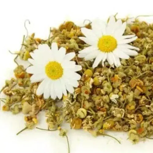 گل بابونهنام انگلیسی	Matricaria chamomilla
نام علمی	Chamaemelum nobile
مجموعه تولیدی سیدوس ,تولید کننده گلدان پلاستیکی سیدوس