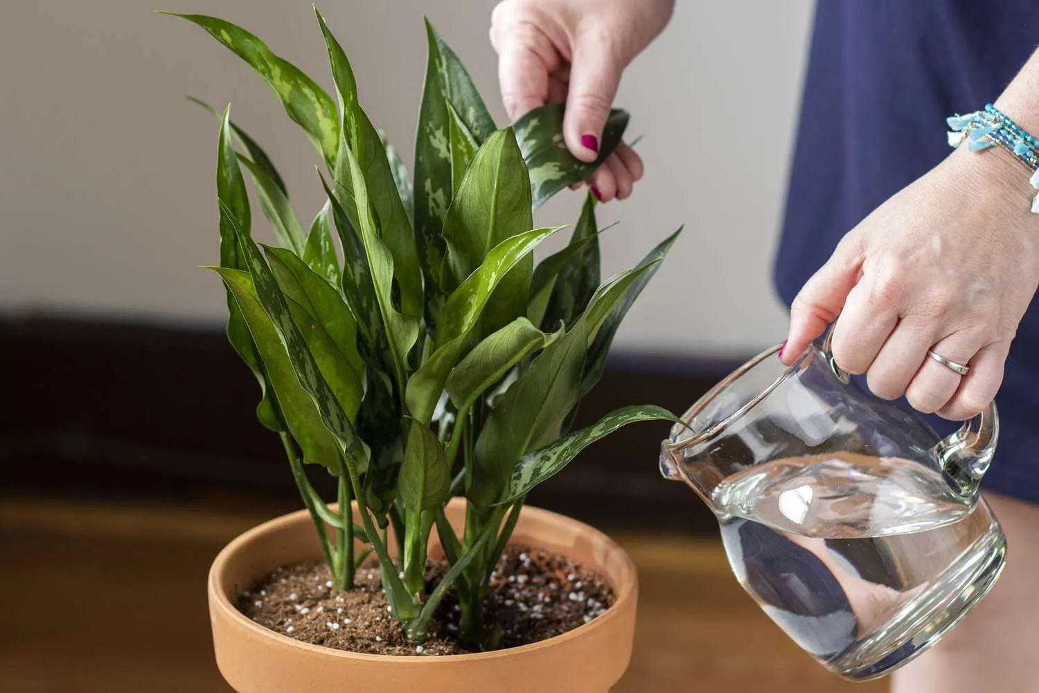 آب مقطر(آب نرم) وباید ها ونبایدهایی در آبیاری گیاهان با آنDistilled water (soft water) for watering plants
مجموعه تولیدی سیدوس ,تولید کننده گلدان پلاستیکی سیدوس ,بیش از 120نوع, اعم از گلدان استوانه ای پلاستیکی سیدوس,گلدان الماسی پلاستیکی سیدوس,گلدان مربعی پلاستیکی,گلدان مثلثی پلاستیکی,گلدان گرد پلاستیکی ,باکس مستطیلی,در اندازه های کاکتوسی تا درختچه ای