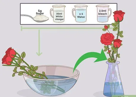 گل رز وشرایط نگهداری از آن Roses and their care requirements گلدان پلاستیکی Plastic pot, plastic vase مجموعه تولیدی سیدوس ,تولید کننده گلدان پلاستیکی سیدوس ,بیش از 120نوع, اعم از گلدان استوانه ای پلاستیکی سیدوس,گلدان الماسی پلاستیکی سیدوس,گلدان مربعی پلاستیکی,گلدان مثلثی پلاستیکی,گلدان گرد پلاستیکی ,باکس مستطیلی,در اندازه های کاکتوسی تا درختچه ای