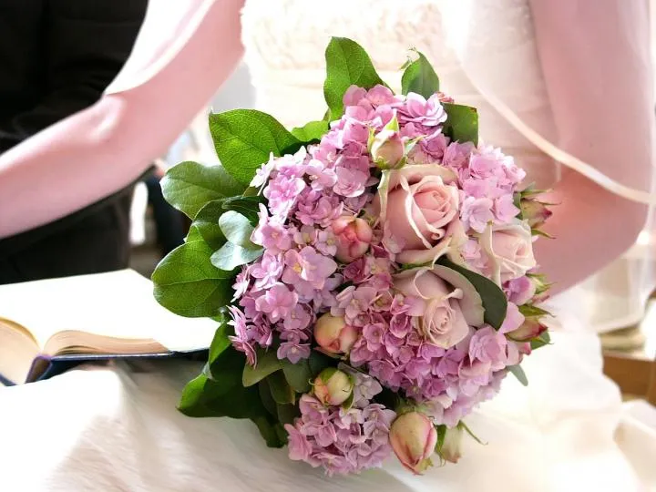  زبان گل ها و تاریخچه‌ی آن ها</p>

<p>The language of<br />
 flowers and their history<br />
مجموعه تولیدی سیدوس تولید کننده گلدان های پلاستیکی سیدوس