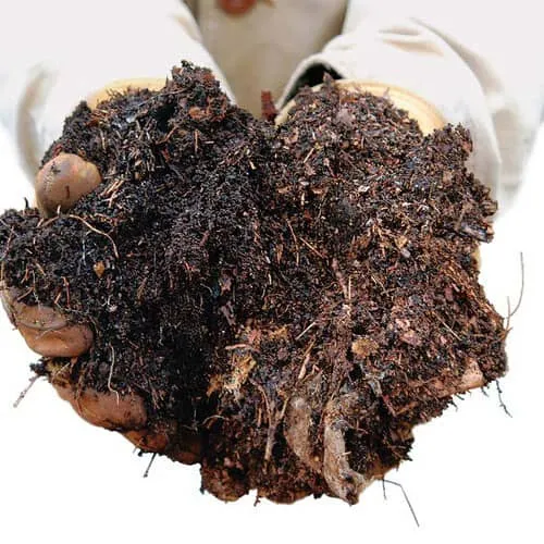 خاک برگleaf soil