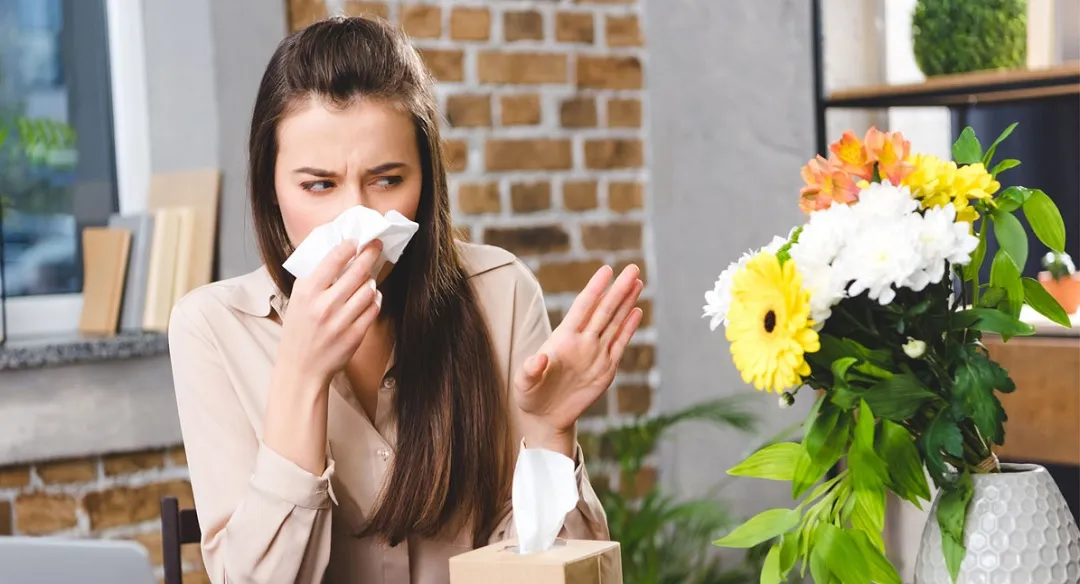 گیاهان آپارتمانی مناسب برای افراد آلرژیکHouseplants suitable for allergy sufferers
مجموعه تولیدی سیدوس ,تولید کننده گلدان پلاستیکی سیدوس ,بیش از 120نوع, اعم از گلدان استوانه ای پلاستیکی سیدوس,گلدان الماسی پلاستیکی سیدوس,گلدان مربعی پلاستیکی,گلدان مثلثی پلاستیکی,گلدان گرد پلاستیکی ,باکس مستطیلی,در اندازه های کاکتوسی تا درختچه ای