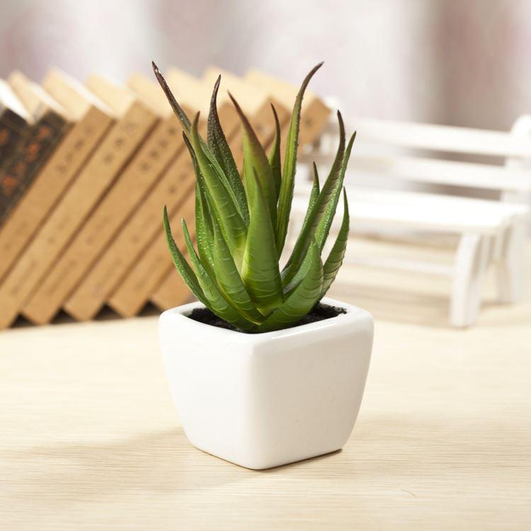 آلوئه‌ورا (Aloe Vera)