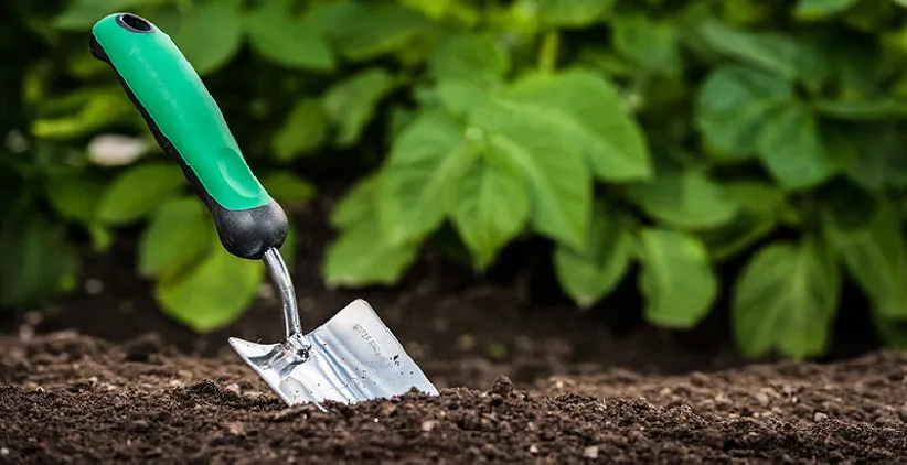 خاک مناسب برای کاشت گیاهSuitable soil for planting plants
مجموعه تولیدی سیدوس ,تولید کننده گلدان پلاستیکی سیدوس ,بیش از 120نوع, اعم از گلدان استوانه ای پلاستیکی سیدوس,گلدان الماسی پلاستیکی سیدوس,گلدان مربعی پلاستیکی,گلدان مثلثی پلاستیکی,گلدان گرد پلاستیکی ,باکس مستطیلی,در اندازه های کاکتوسی تا درختچه ای