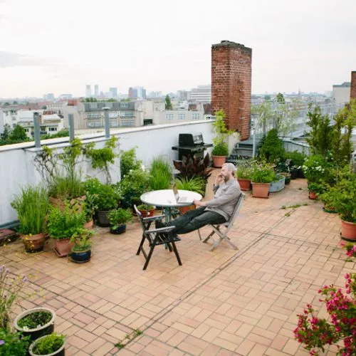 باغ بام یا گرین روف Roof garden or green roof
 مجموعه تولیدی سیدوس ,تولید کننده گلدان پلاستیکی سیدوس ,بیش از 120نوع, اعم از گلدان استوانه ای پلاستیکی سیدوس,گلدان الماسی پلاستیکی سیدوس,گلدان مربعی پلاستیکی,گلدان مثلثی پلاستیکی,گلدان گرد پلاستیکی ,باکس مستطیلی,در اندازه های کاکتوسی تا درختچه ای