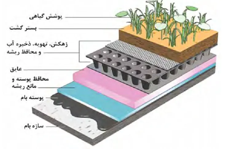 بام سبز (green roof ) و باغ بام (roof garden) Roof garden or green roof مجموعه تولیدی سیدوس ,تولید کننده گلدان پلاستیکی سیدوس ,بیش از 120نوع, اعم از گلدان استوانه ای پلاستیکی سیدوس,گلدان الماسی پلاستیکی سیدوس,گلدان مربعی پلاستیکی,گلدان مثلثی پلاستیکی,گلدان گرد پلاستیکی ,باکس مستطیلی,در اندازه های کاکتوسی تا درختچه ای