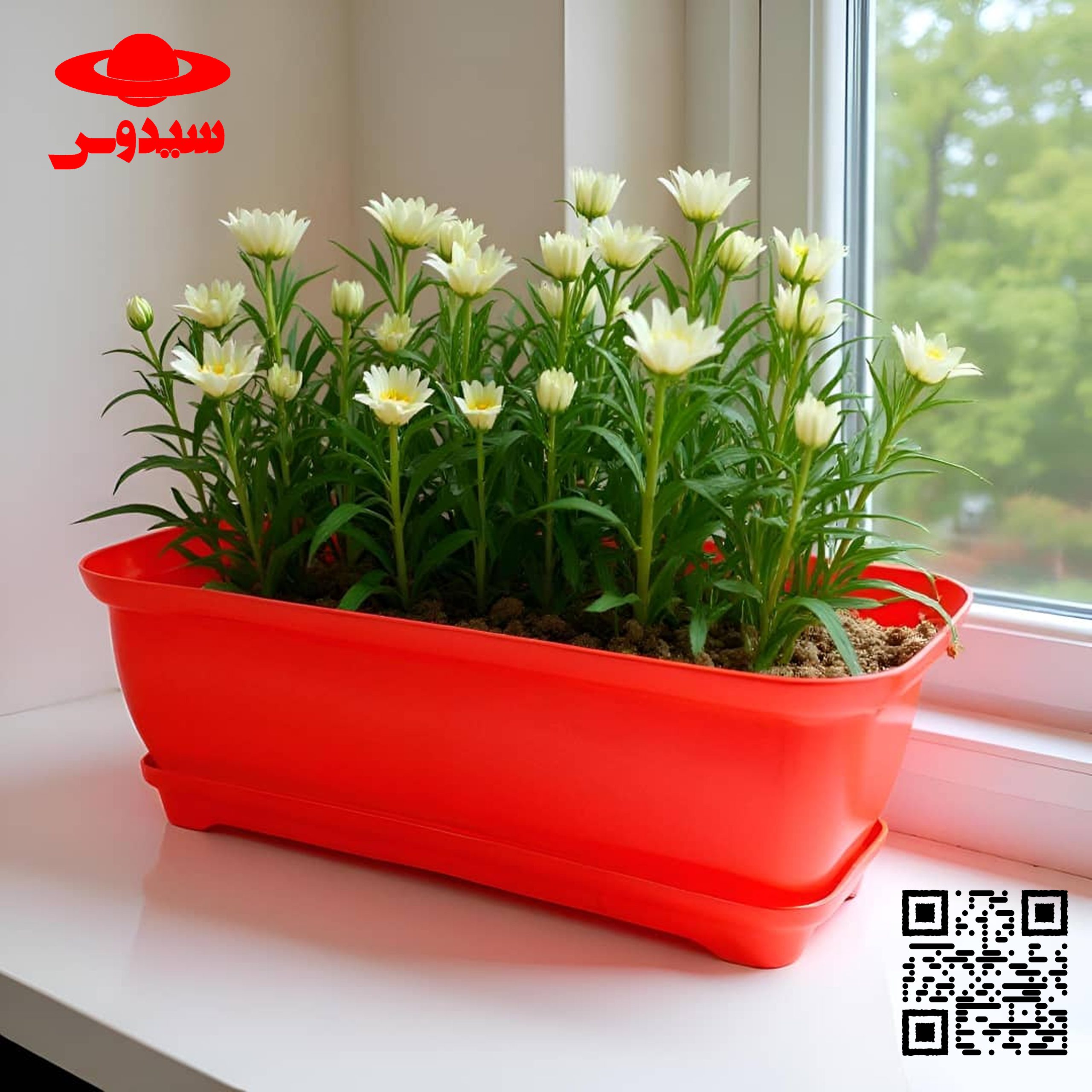 گلدان پلاستیکی Plastic pot, plastic vase مجموعه تولیدی سیدوس ,تولید کننده گلدان پلاستیکی سیدوس ,بیش از 120نوع, اعم از گلدان استوانه ای پلاستیکی سیدوس,گلدان الماسی پلاستیکی سیدوس,گلدان مربعی پلاستیکی,گلدان مثلثی پلاستیکی,گلدان گرد پلاستیکی ,باکس مستطیلی,در اندازه های کاکتوسی تا درختچه ای
