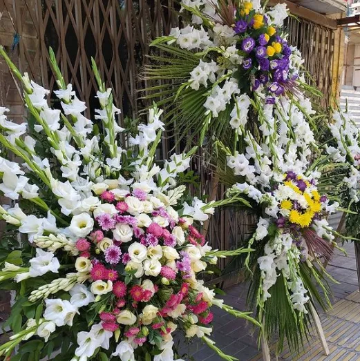 معنا ومفهوم گل ها (22گل)Meaning and concept of flowers (22 flowers) مجموعه تولیدی سیدوس ,تولید کننده گلدان پلاستیکی سیدوس