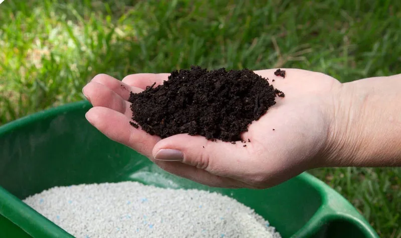 مزایای کود دهی در روزهای سرد سالBenefits of fertilizing during the cold days of the year مجموعه تولیدی سیدوس ,تولید کننده گلدان پلاستیکی سیدوس ,بیش از 120نوع, اعم از گلدان استوانه ای پلاستیکی سیدوس,گلدان الماسی پلاستیکی سیدوس,گلدان مربعی پلاستیکی,گلدان مثلثی پلاستیکی,گلدان گرد پلاستیکی ,باکس مستطیلی,در اندازه های کاکتوسی تا درختچه ای