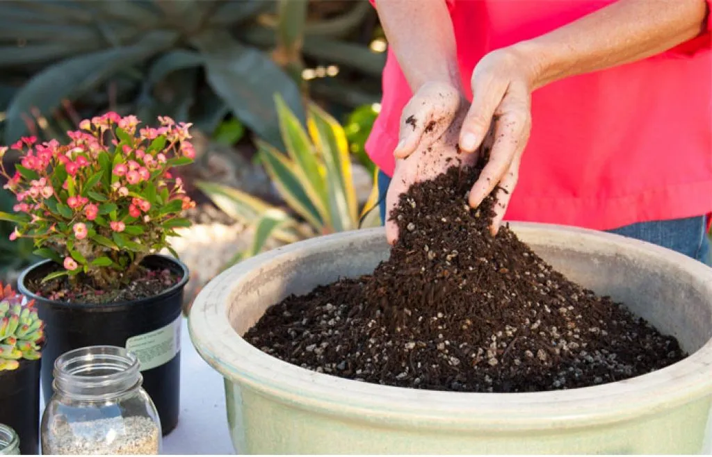 خاک گلدان وعلل خراب شدن آنPotting soil and the causes of its deterioration
مجموعه تولیدی سیدوس ,تولید کننده گلدان پلاستیکی سیدوس ,بیش از 120نوع, اعم از گلدان استوانه ای پلاستیکی سیدوس,گلدان الماسی پلاستیکی سیدوس,گلدان مربعی پلاستیکی,گلدان مثلثی پلاستیکی,گلدان گرد پلاستیکی ,باکس مستطیلی,در اندازه های کاکتوسی تا درختچه ای