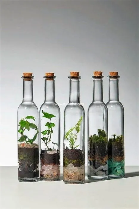 تراریوم (16ایده خلاقانه ) Terrarium (16 creative ideas) مجموعه تولیدی سیدوس ,تولید کننده گلدان پلاستیکی سیدوس ,بیش از 120نوع, اعم از گلدان استوانه ای پلاستیکی سیدوس,گلدان الماسی پلاستیکی سیدوس,گلدان مربعی پلاستیکی,گلدان مثلثی پلاستیکی,گلدان گرد پلاستیکی ,باکس مستطیلی,در اندازه های کاکتوسی تا درختچه ای