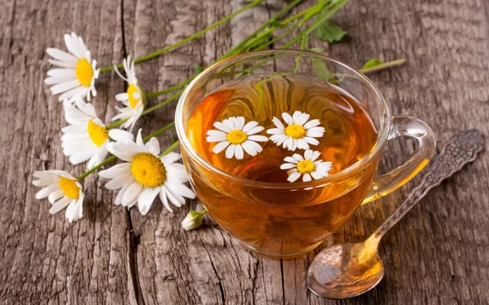 گل بابونهنام انگلیسی	Matricaria chamomilla
نام علمی	Chamaemelum nobile
مجموعه تولیدی سیدوس ,تولید کننده گلدان پلاستیکی سیدوس
