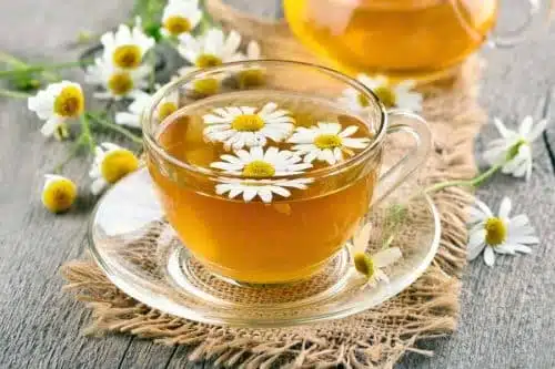 گل بابونهنام انگلیسی	Matricaria chamomilla
نام علمی	Chamaemelum nobile
مجموعه تولیدی سیدوس ,تولید کننده گلدان پلاستیکی سیدوس