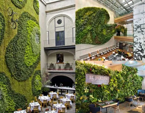 دیوار سبز  وبهترین ایده برای اجرای آنGreen wall and the best idea for its implementation
مجموعه تولیدی سیدوس ,تولید کننده گلدان پلاستیکی سیدوس ,بیش از 120نوع, اعم از گلدان استوانه ای پلاستیکی سیدوس,گلدان الماسی پلاستیکی سیدوس,گلدان مربعی پلاستیکی,گلدان مثلثی پلاستیکی,گلدان گرد پلاستیکی ,باکس مستطیلی,در اندازه های کاکتوسی تا درختچه ای